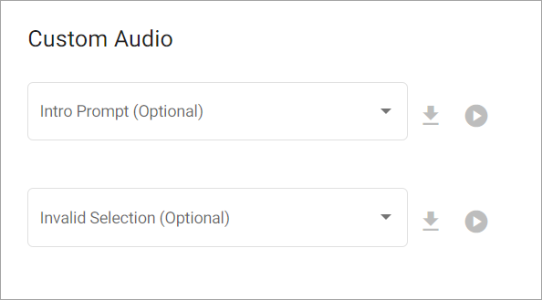 AA Directory Custom_Audio.png